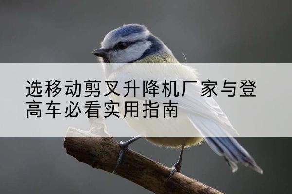 宝塔电动升降机厂家-选移动剪叉升降机厂家与登高车必看实用指南