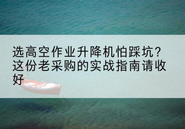 宝塔高空作业升降机厂家推荐-选高空作业升降机怕踩坑？这份老采购的实战指南请收好