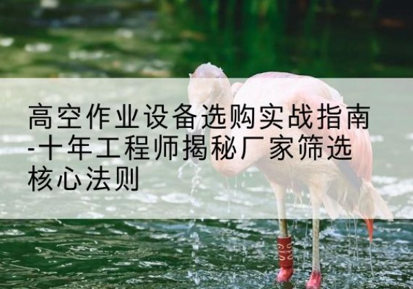 宝塔剪叉式升降机厂家-高空作业设备选购实战指南-十年工程师揭秘厂家筛选核心法则